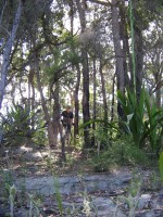 20060226-Mooney 116 